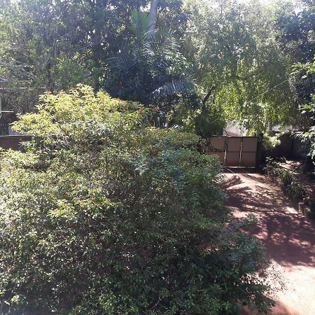 Guesthouse Sunshine Aluthgama Dış mekan fotoğraf