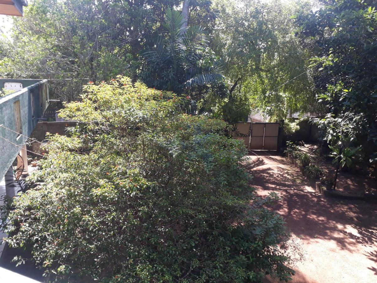 Guesthouse Sunshine Aluthgama Dış mekan fotoğraf